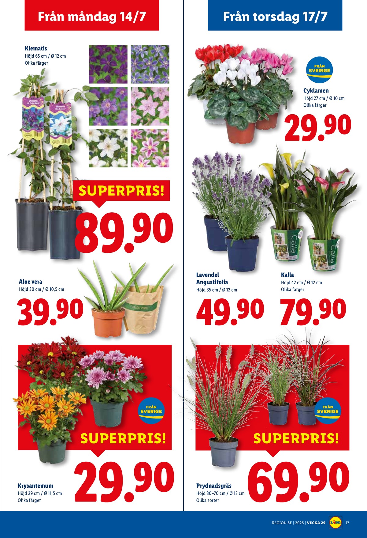 Se Lidl reklamblad för vecka 29 på Kampanjveckan.se. Se bra erbjudanden på många varor, t.ex. krukväxt okänd eller krukväxt okänd. Läs reklambladet här! Sida 18
