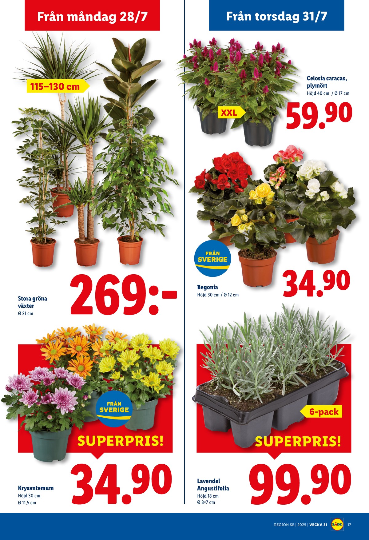 Se Lidl reklamblad för vecka 31 på Kampanjveckan.se. Se bra erbjudanden på många varor, t.ex. plantor okänd eller plantor okänd. Läs reklambladet här! Sida 20
