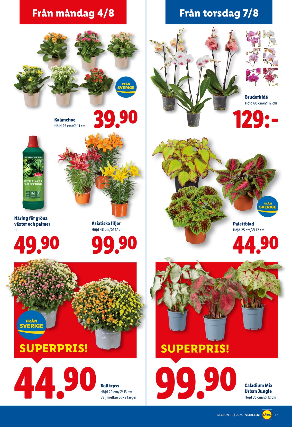 Se Lidl reklamblad för vecka 32 på Kampanjveckan.se. Se bra erbjudanden på många varor, t.ex. krukväxt okänd eller plantor okänd. Läs reklambladet här! Sida 20
