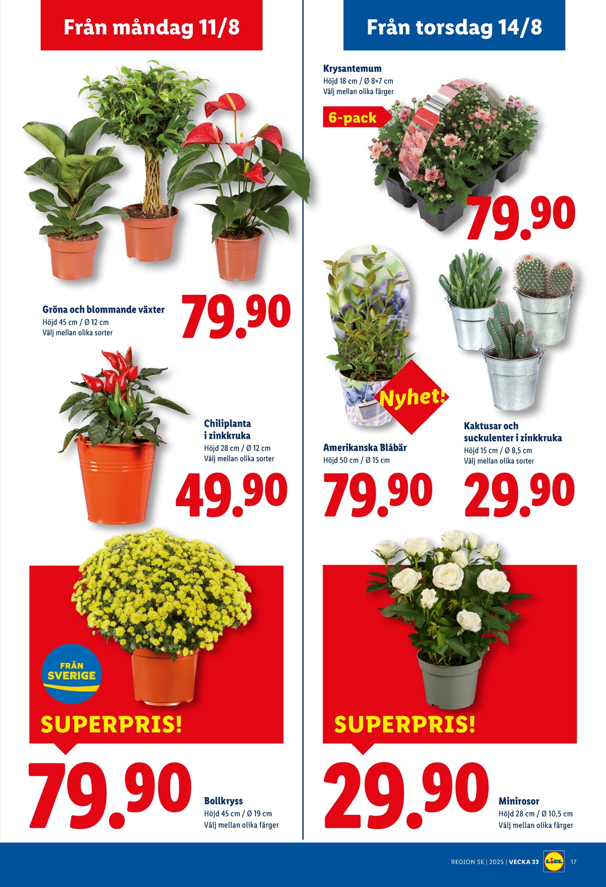 Se Lidl reklamblad för vecka 33 på Kampanjveckan.se. Se bra erbjudanden på många varor, t.ex. plantor okänd eller plantor okänd. Läs reklambladet här! Sida 21
