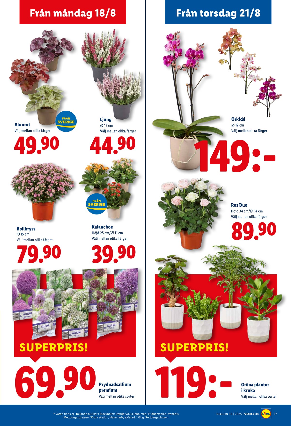 Se Lidl reklamblad för vecka 34 på Kampanjveckan.se. Se bra erbjudanden på många varor, t.ex. blomsterlökar okänd eller plantor okänd. Läs reklambladet här! Sida 21
