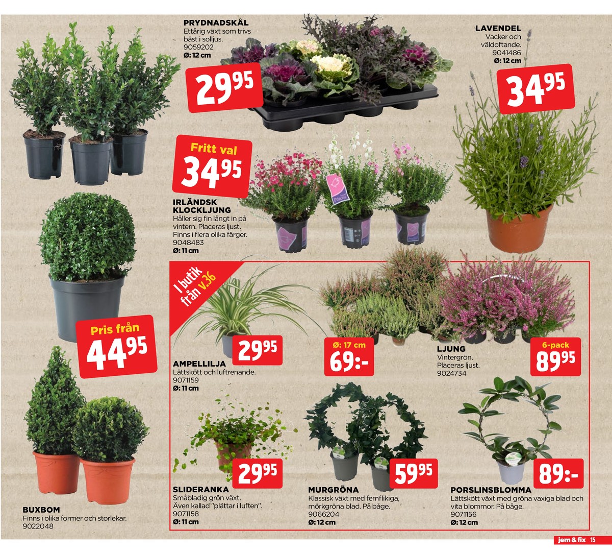 Se Jem & Fix reklamblad för vecka 35 på Kampanjveckan.se. Se bra erbjudanden på många varor, t.ex. buskar okänd eller krukväxt okänd. Läs reklambladet här! Sida 15
