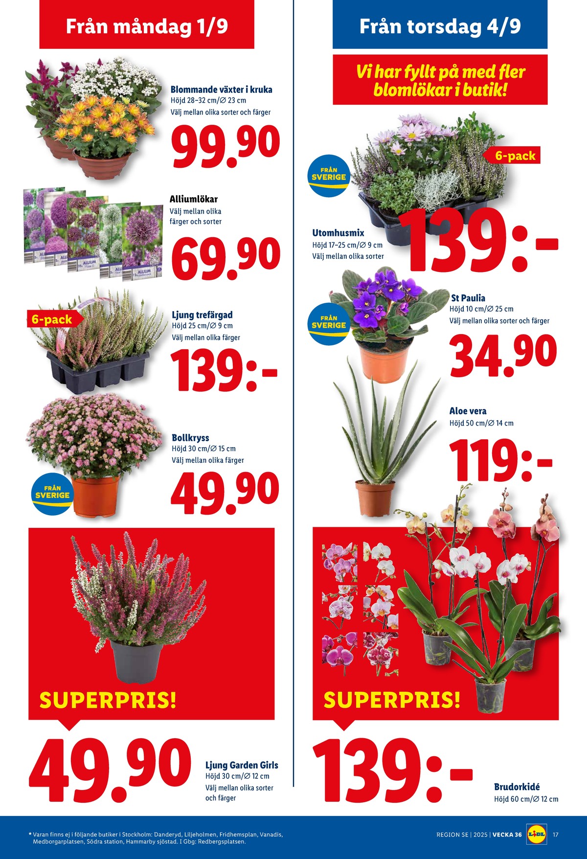 Se Lidl reklamblad för vecka 36 på Kampanjveckan.se. Se bra erbjudanden på många varor, t.ex. plantor okänd eller krukväxt okänd. Läs reklambladet här! Sida 20
