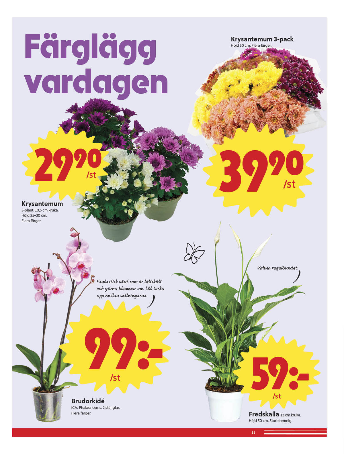 Se ICA Nära reklamblad för vecka 36 på Kampanjveckan.se. Se bra erbjudanden på många varor, t.ex. krukväxt ica eller krukväxt okänd. Läs reklambladet här! Sida 11
