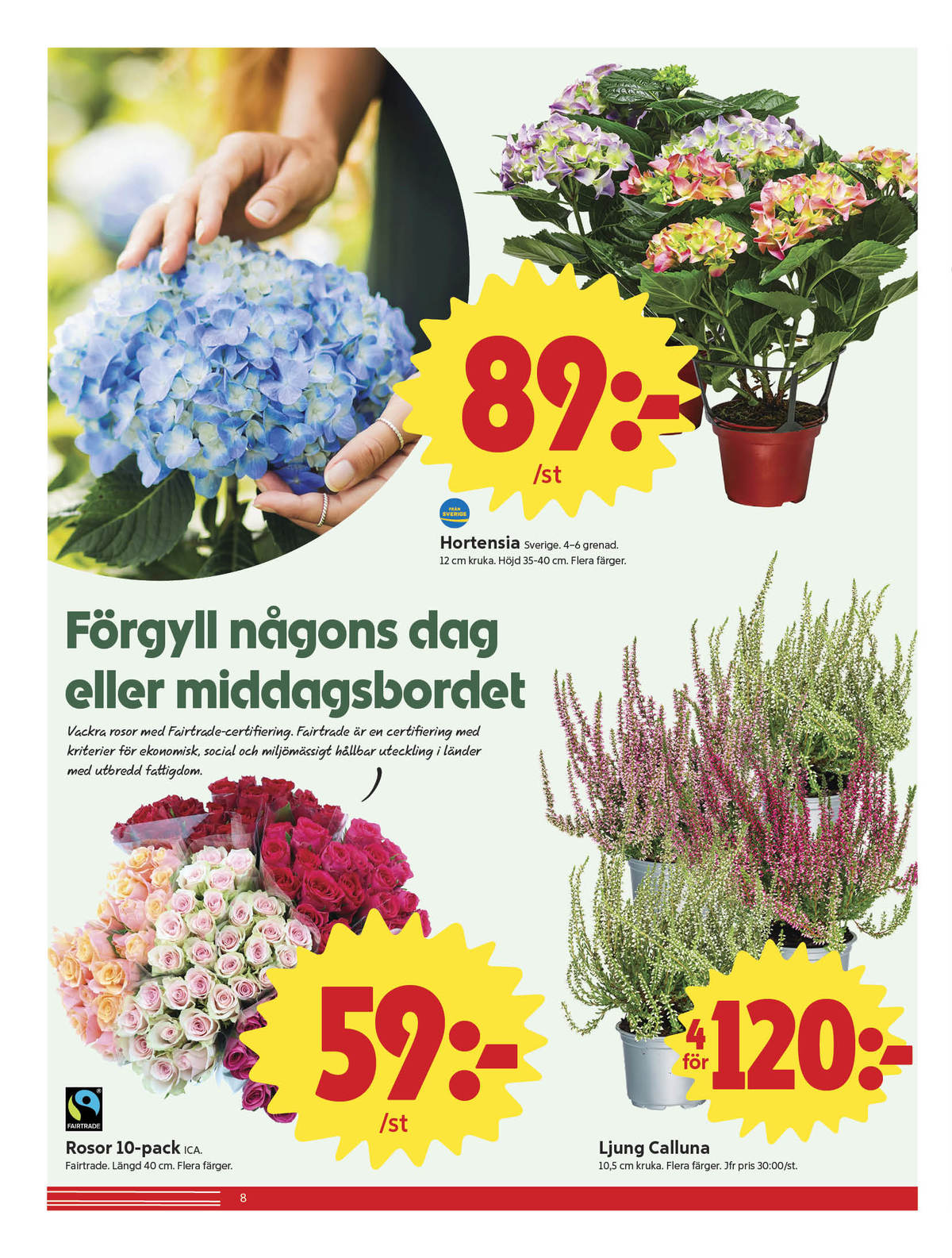 Se ICA Nära reklamblad för vecka 36 på Kampanjveckan.se. Se bra erbjudanden på många varor, t.ex. blommor ica eller plantor okänd. Läs reklambladet här! Sida 8

