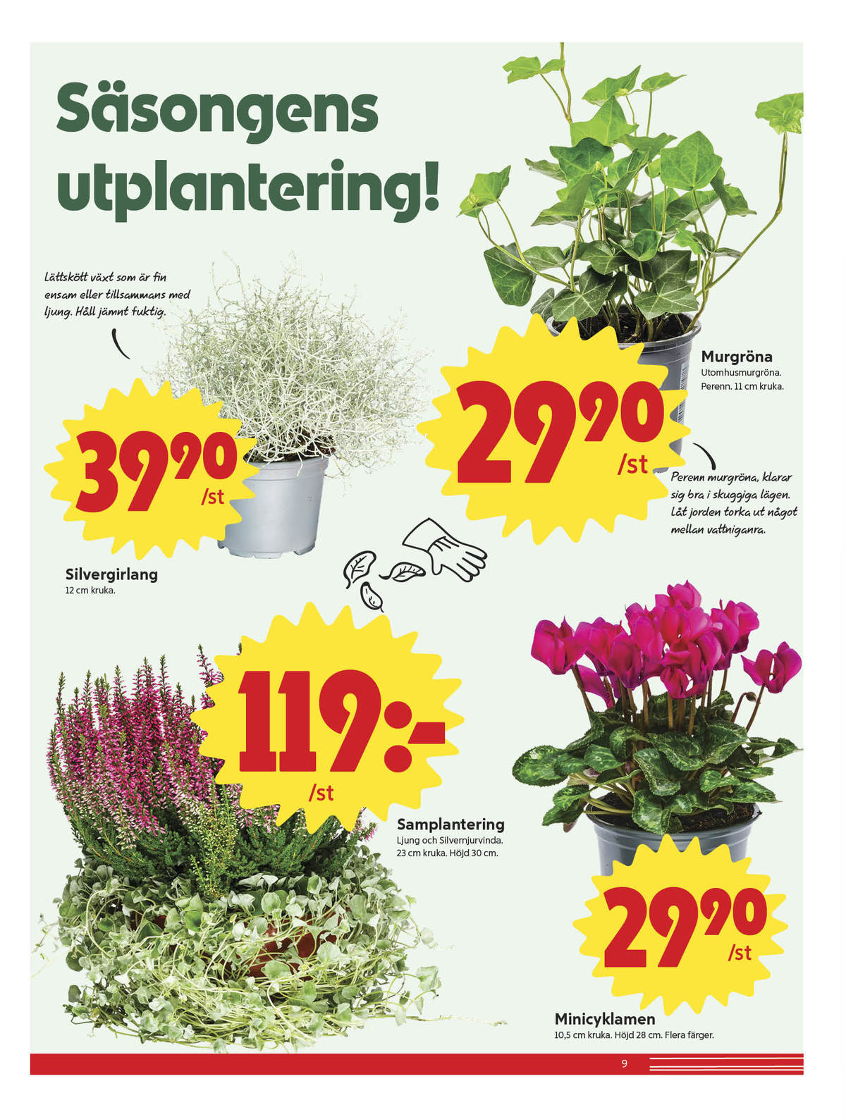 Se ICA Nära reklamblad för vecka 36 på Kampanjveckan.se. Se bra erbjudanden på många varor, t.ex. plantor okänd eller plantor okänd. Läs reklambladet här! Sida 9
