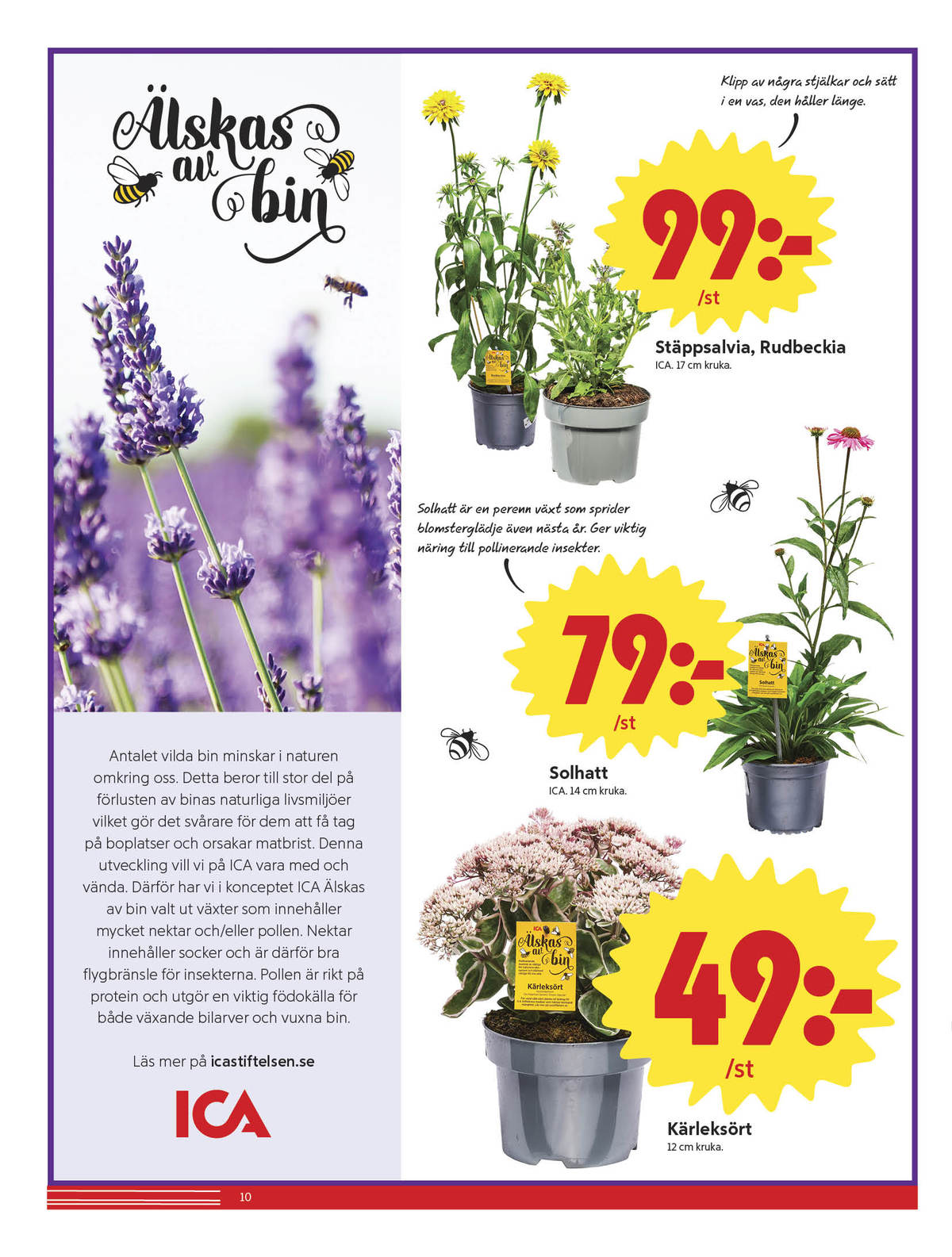 Se ICA Nära reklamblad för vecka 36 på Kampanjveckan.se. Se bra erbjudanden på många varor, t.ex. plantor ica eller plantor ica. Läs reklambladet här! Sida 10
