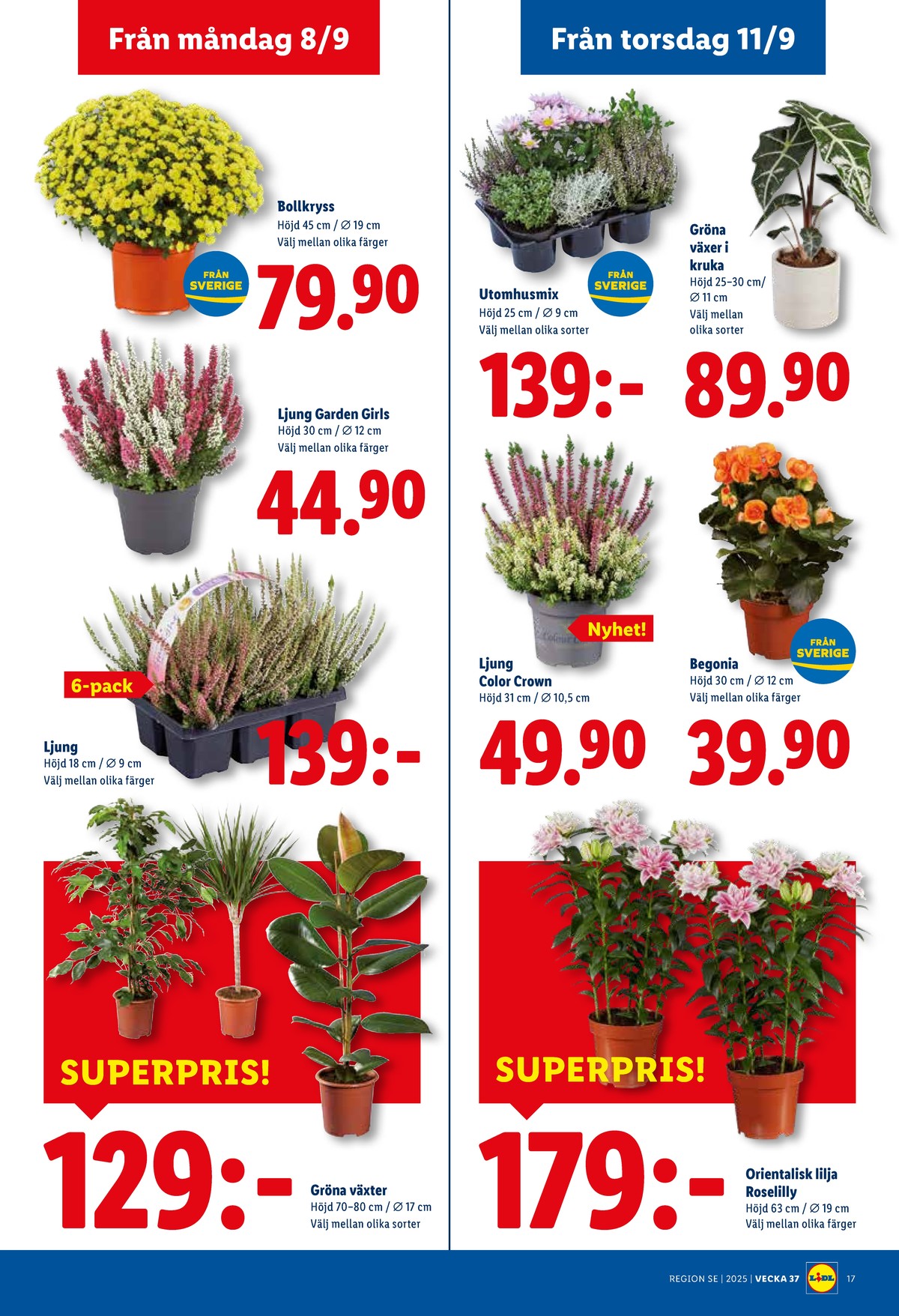 Se Lidl reklamblad för vecka 37 på Kampanjveckan.se. Se bra erbjudanden på många varor, t.ex. plantor okänd eller plantor okänd. Läs reklambladet här! Sida 19
