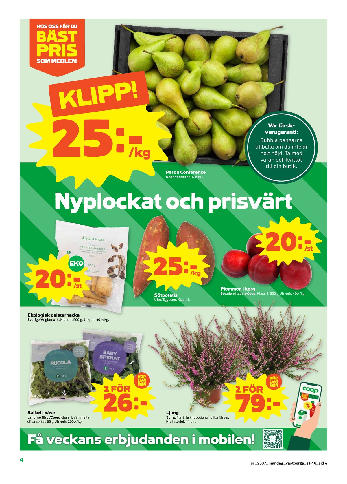 Se Stora Coop reklamblad för vecka 37 på Kampanjveckan.se. Se bra erbjudanden på många varor, t.ex. sallat coop eller plantor spira. Läs reklambladet här! Sida 4
