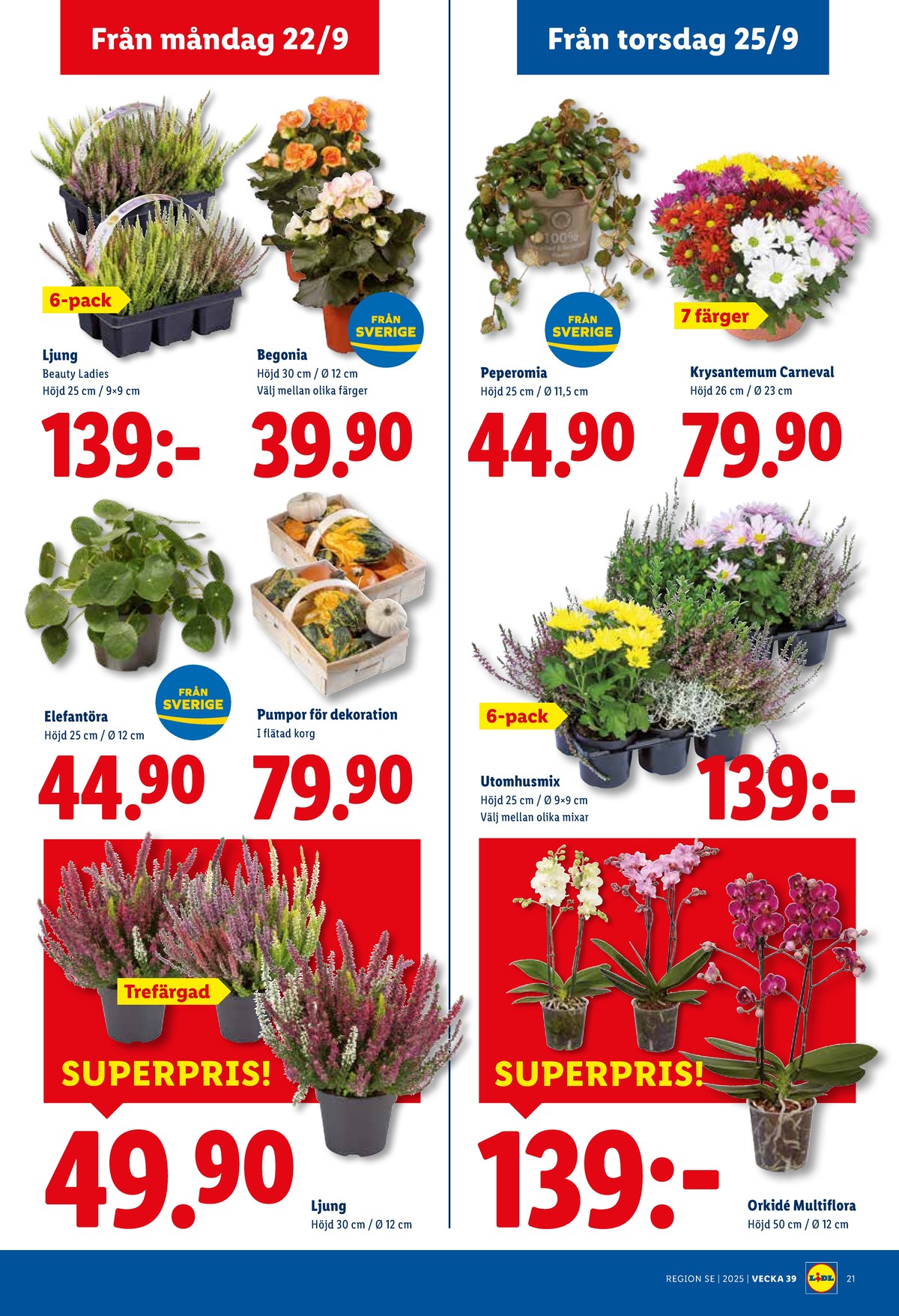 Se Lidl reklamblad för vecka 39 på Kampanjveckan.se. Se bra erbjudanden på många varor, t.ex. plantor okänd eller krukväxt okänd. Läs reklambladet här! Sida 20
