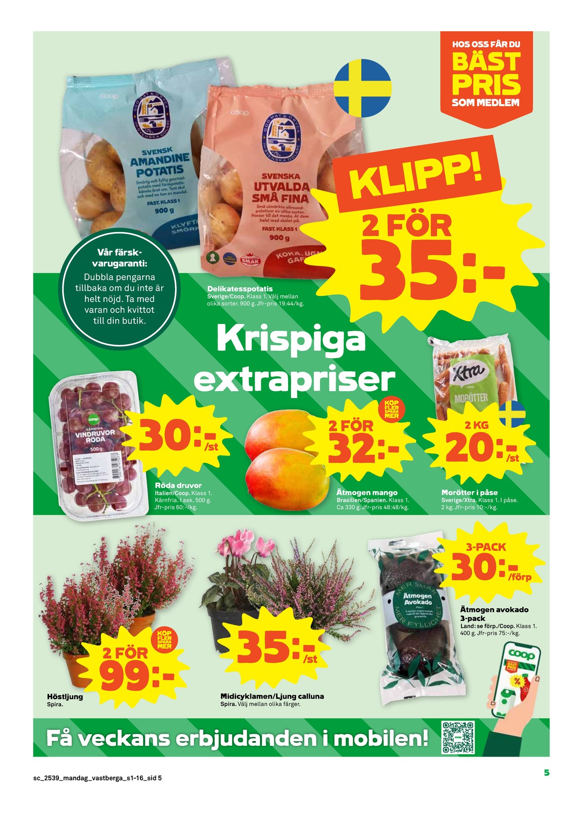 Se Stora Coop reklamblad för vecka 39 på Kampanjveckan.se. Se bra erbjudanden på många varor, t.ex. plantor spira eller plantor spira. Läs reklambladet här! Sida 5
