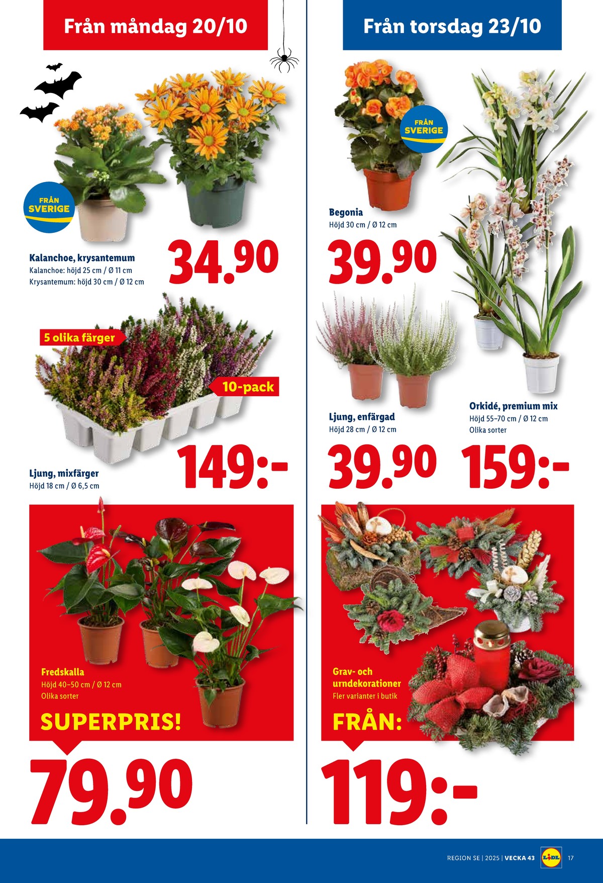 Se Lidl reklamblad för vecka 43 på Kampanjveckan.se. Se bra erbjudanden på många varor, t.ex. plantor okänd eller plantor okänd. Läs reklambladet här! Sida 19
