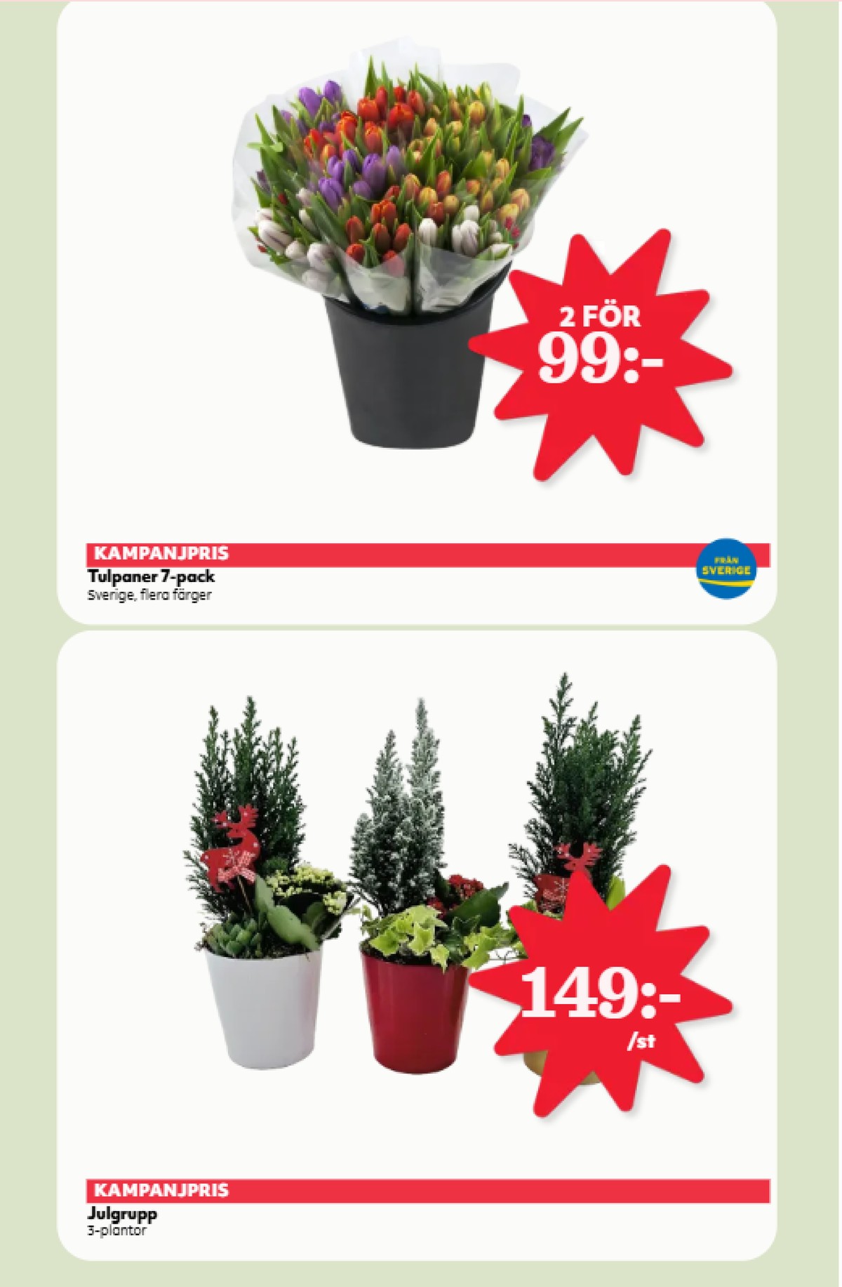 Se Hemköp reklamblad för vecka 51 på Kampanjveckan.se. Se bra erbjudanden på många varor, t.ex. krukväxt okänd eller blommor okänd. Läs reklambladet här! Sida 6

