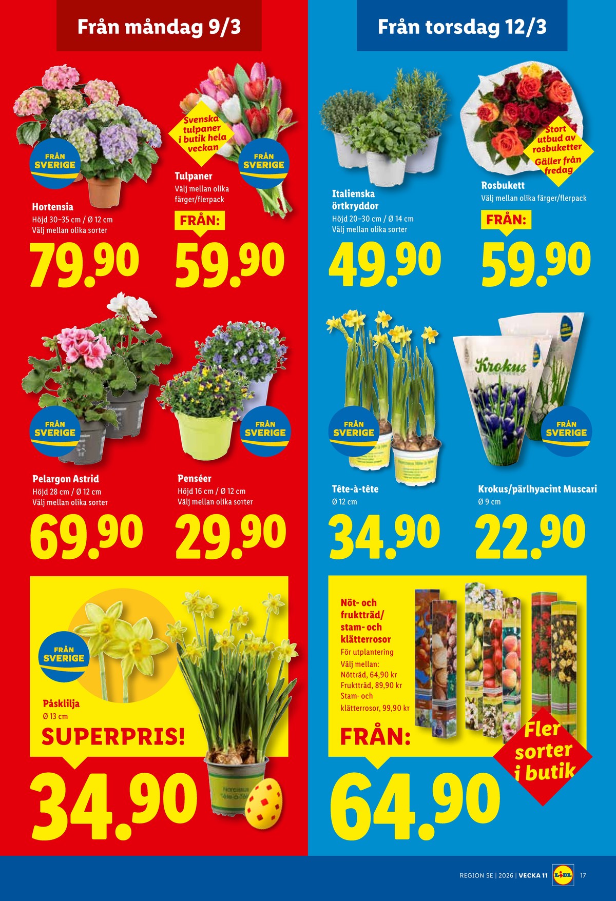 Se Lidl reklamblad för vecka 11 på Kampanjveckan.se. Se bra erbjudanden på många varor, t.ex. krukväxt okänd eller plantor okänd. Läs reklambladet här! Sida 19
