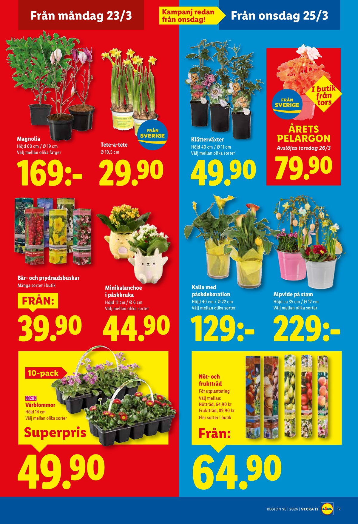 Se Lidl reklamblad för vecka 13 på Kampanjveckan.se. Se bra erbjudanden på många varor, t.ex. krukväxt okänd eller andra varor. Läs reklambladet här! Sida 19