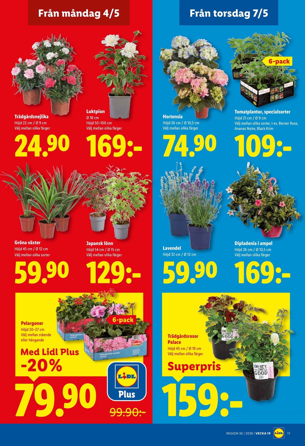 Se Lidl reklamblad för vecka 19 på Kampanjveckan.se. Se bra erbjudanden på många varor, t.ex. plantor okänd eller träd okänd. Läs reklambladet här! Sida 19
