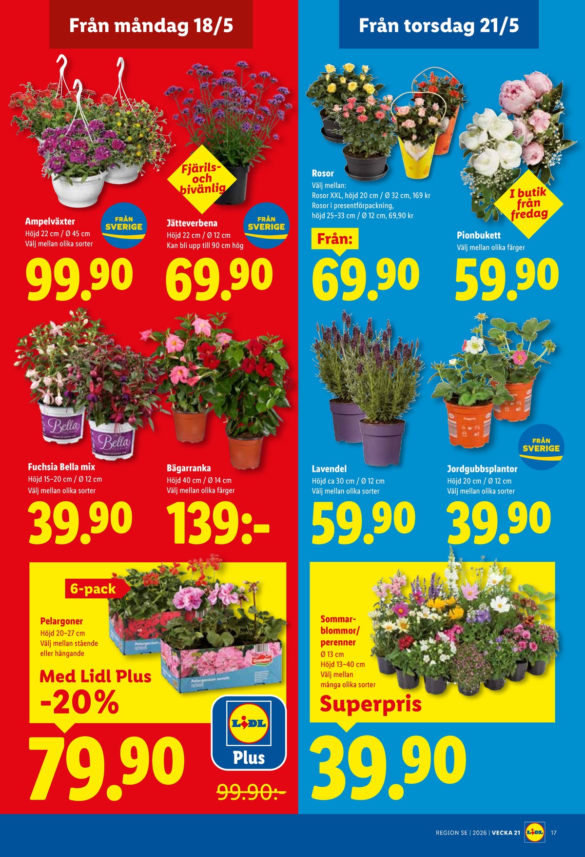 Se Lidl reklamblad för vecka 21 på Kampanjveckan.se. Se bra erbjudanden på många varor, t.ex. plantor okänd eller plantor okänd. Läs reklambladet här! Sida 20
