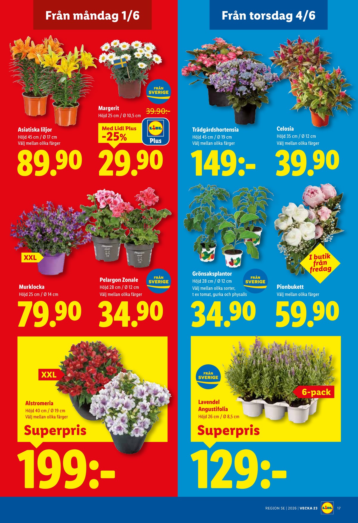 Se Lidl reklamblad för vecka 23 på Kampanjveckan.se. Se bra erbjudanden på många varor, t.ex. plantor okänd eller plantor okänd. Läs reklambladet här! Sida 20
