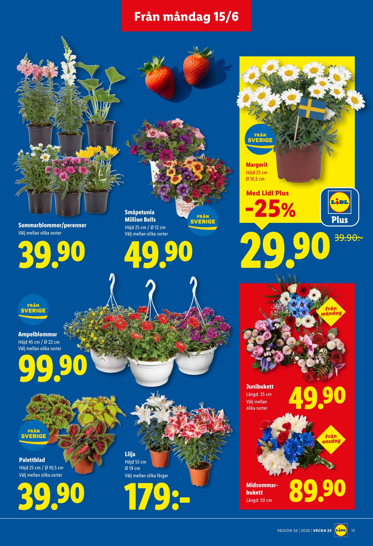 Se Lidl reklamblad för vecka 25 på Kampanjveckan.se. Se bra erbjudanden på många varor, t.ex. plantor okänd eller plantor okänd. Läs reklambladet här! Sida 15
