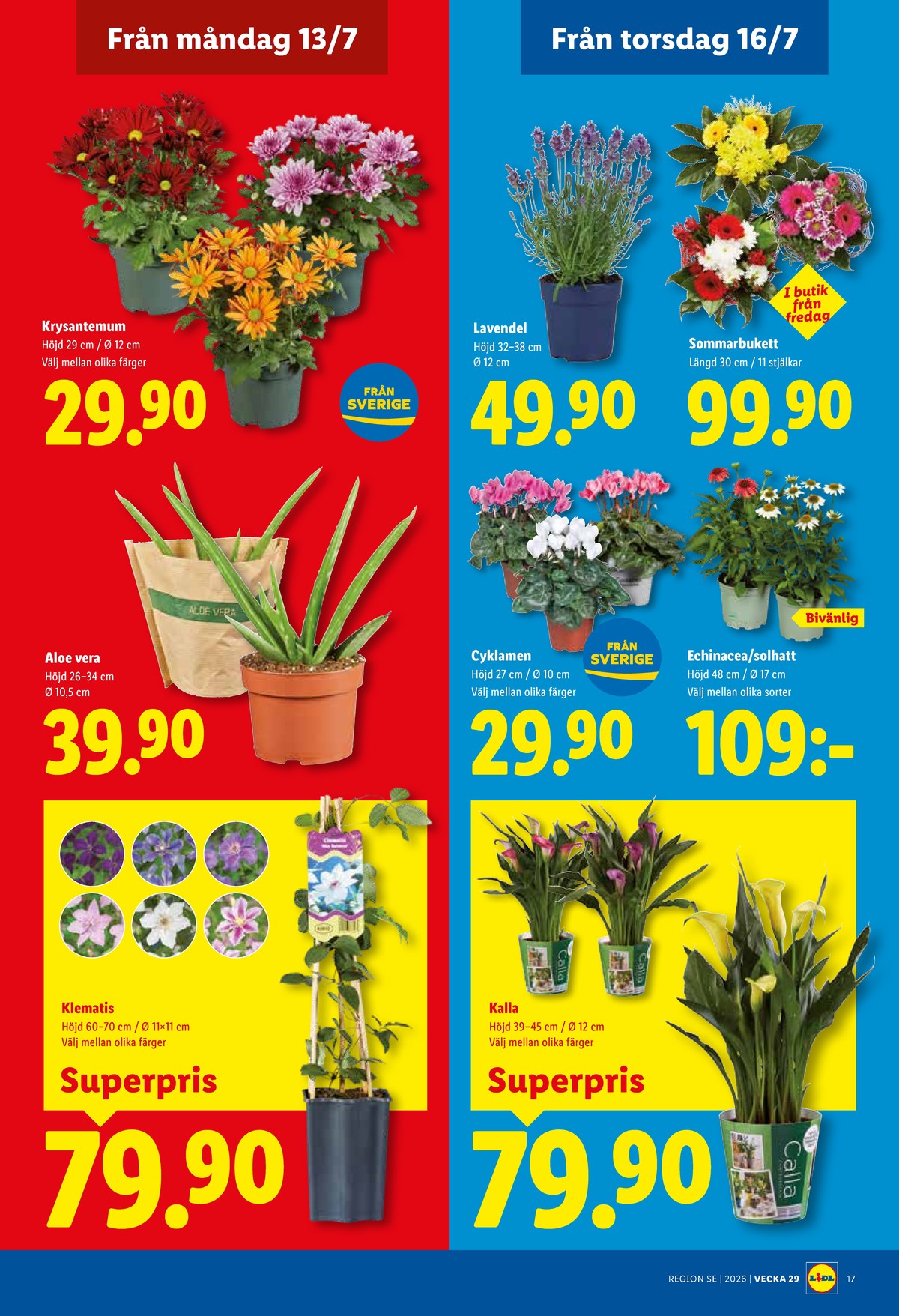 Se Lidl reklamblad för vecka 29 på Kampanjveckan.se. Se bra erbjudanden på många varor, t.ex. krukväxt okänd eller krukväxt okänd. Läs reklambladet här! Sida 20
