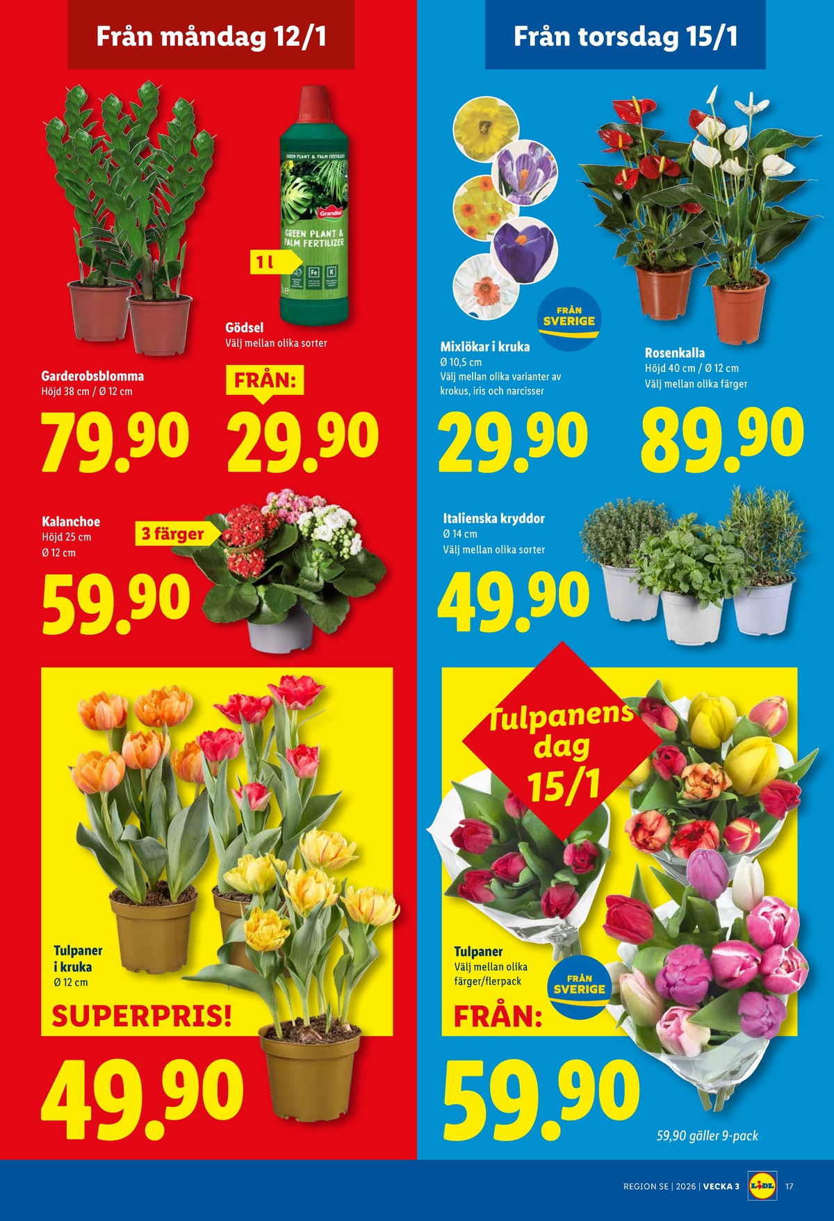 Se Lidl reklamblad för vecka 3 på Kampanjveckan.se. Se bra erbjudanden på många varor, t.ex. plantor okänd eller krukväxt okänd. Läs reklambladet här! Sida 19
