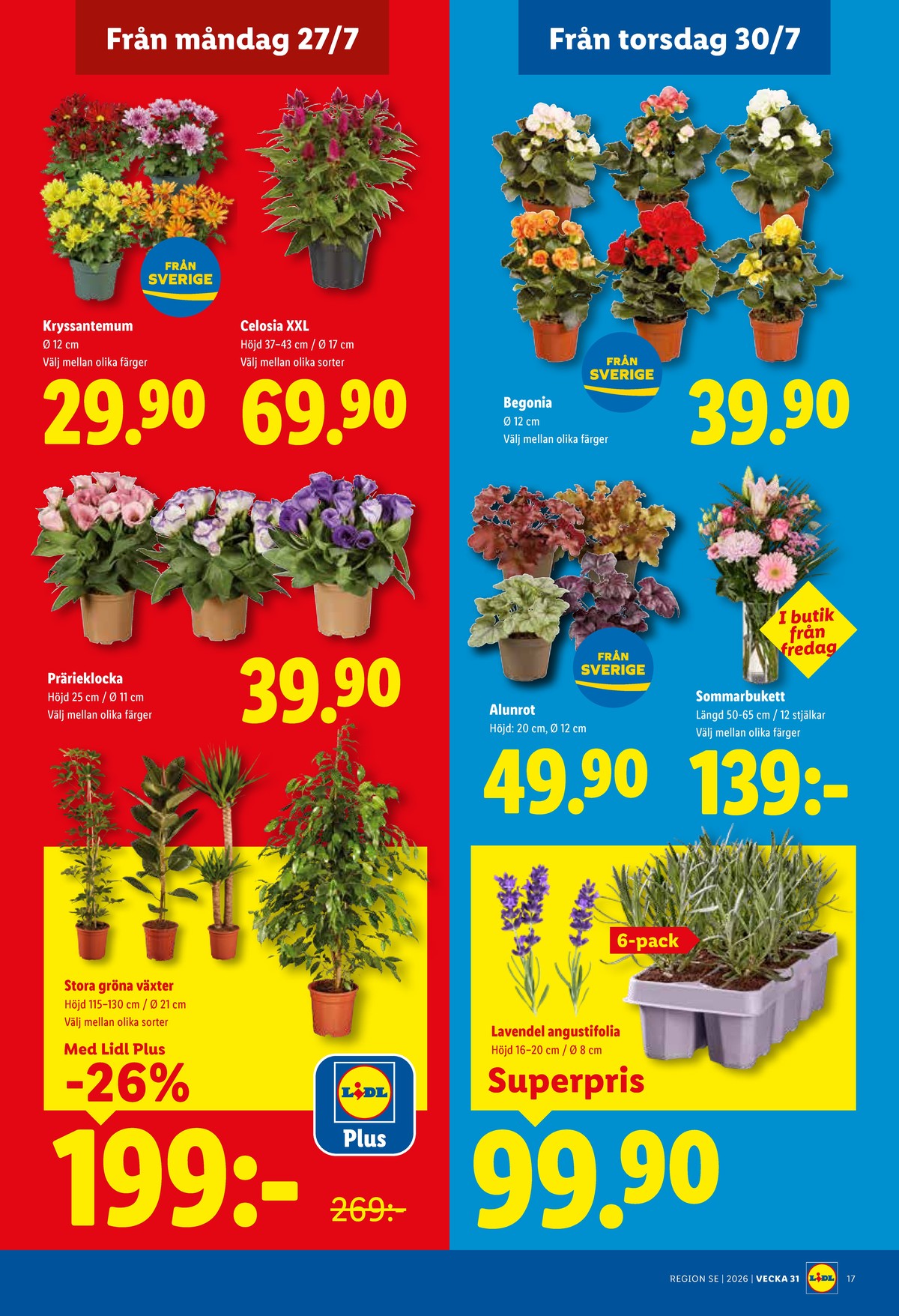 Se Lidl reklamblad för vecka 31 på Kampanjveckan.se. Se bra erbjudanden på många varor, t.ex. krukväxt okänd eller plantor okänd. Läs reklambladet här! Sida 19

