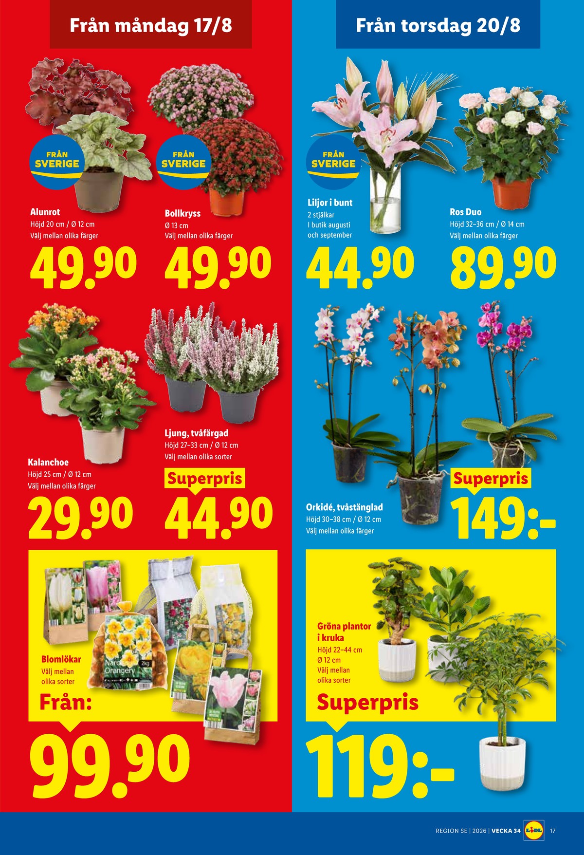 Se Lidl reklamblad för vecka 34 på Kampanjveckan.se. Se bra erbjudanden på många varor, t.ex. krukväxt okänd eller plantor okänd. Läs reklambladet här! Sida 21
