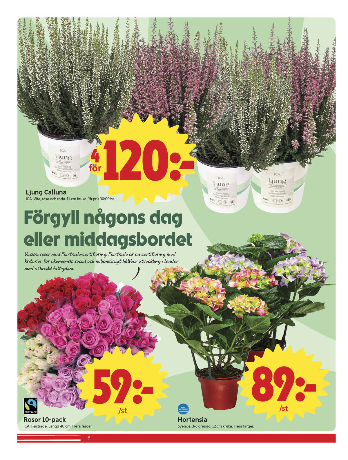 Se ICA Nära reklamblad för vecka 36 på Kampanjveckan.se. Se bra erbjudanden på många varor, t.ex. plantor ica eller blommor ica. Läs reklambladet här! Sida 8
