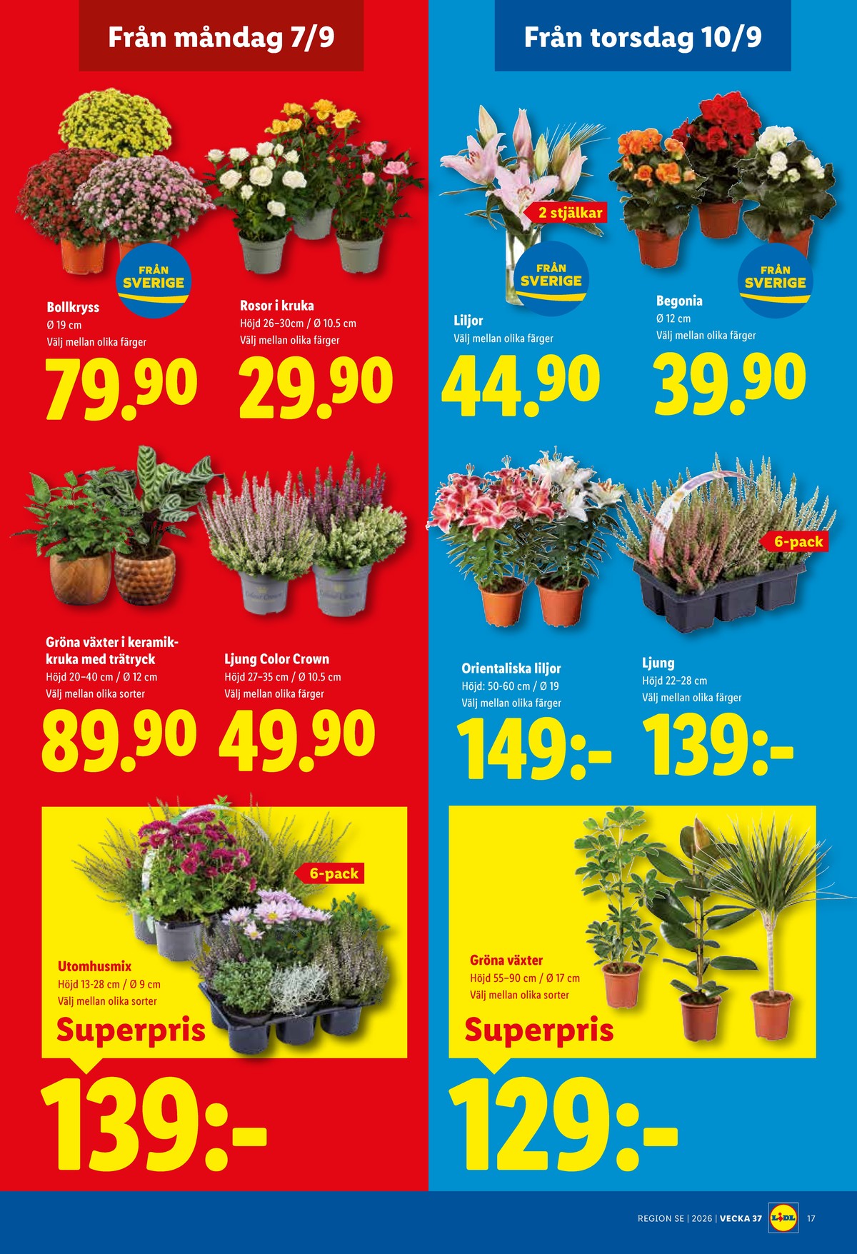 Se Lidl reklamblad för vecka 37 på Kampanjveckan.se. Se bra erbjudanden på många varor, t.ex. plantor okänd eller krukväxt okänd. Läs reklambladet här! Sida 22
