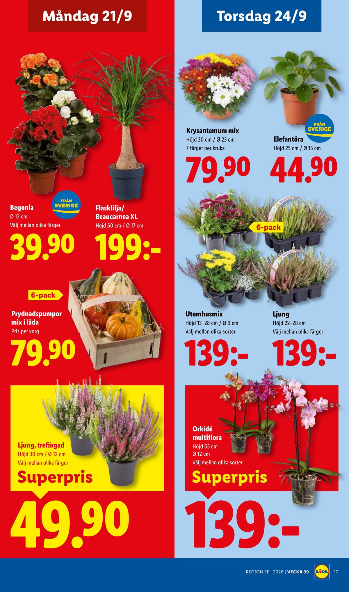 Se Lidl reklamblad för vecka 39 på Kampanjveckan.se. Se bra erbjudanden på många varor, t.ex. plantor okänd eller andra varor. Läs reklambladet här! Sida 20