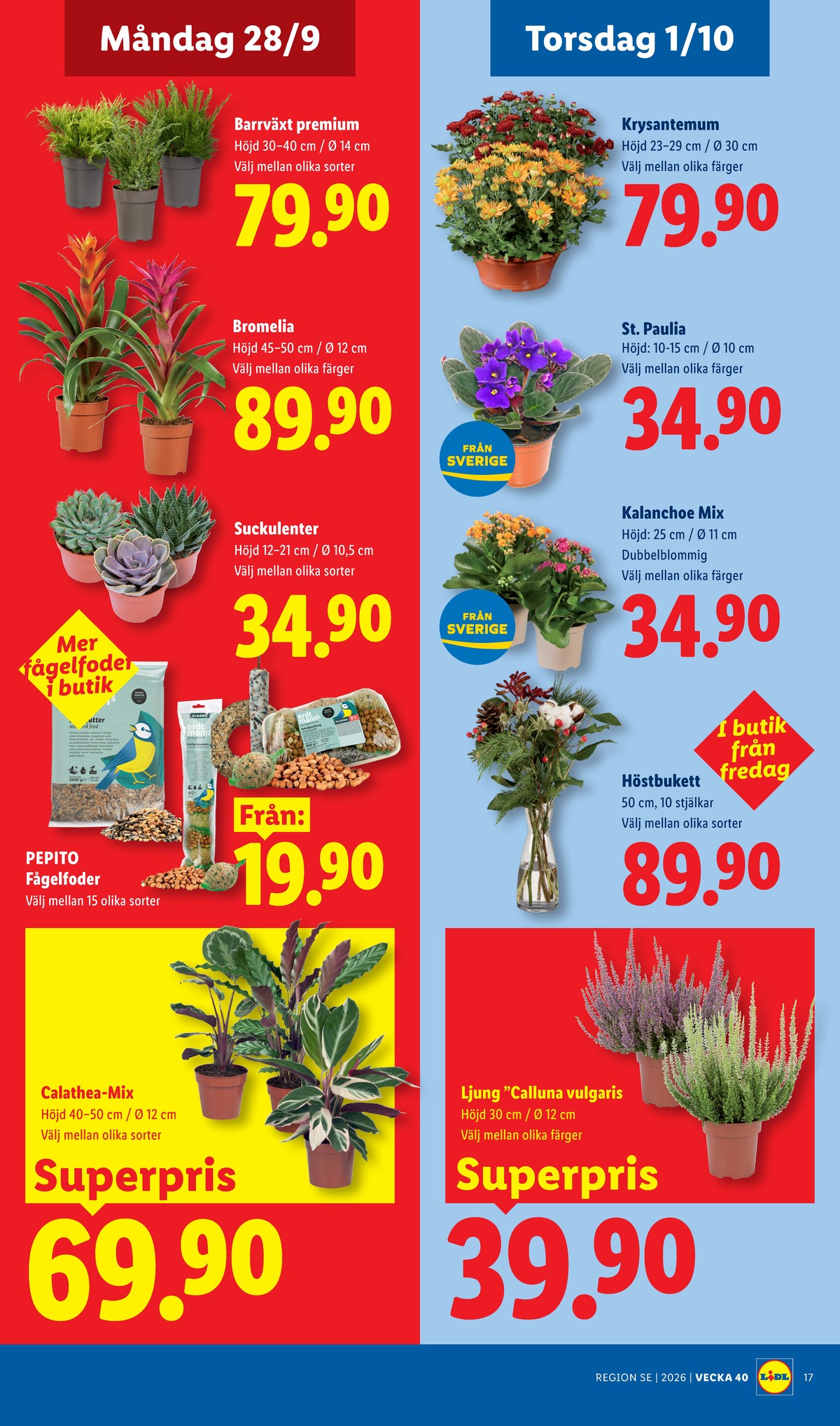 Se Lidl reklamblad för vecka 40 på Kampanjveckan.se. Se bra erbjudanden på många varor, t.ex. krukväxt okänd eller blommor okänd. Läs reklambladet här! Sida 20
