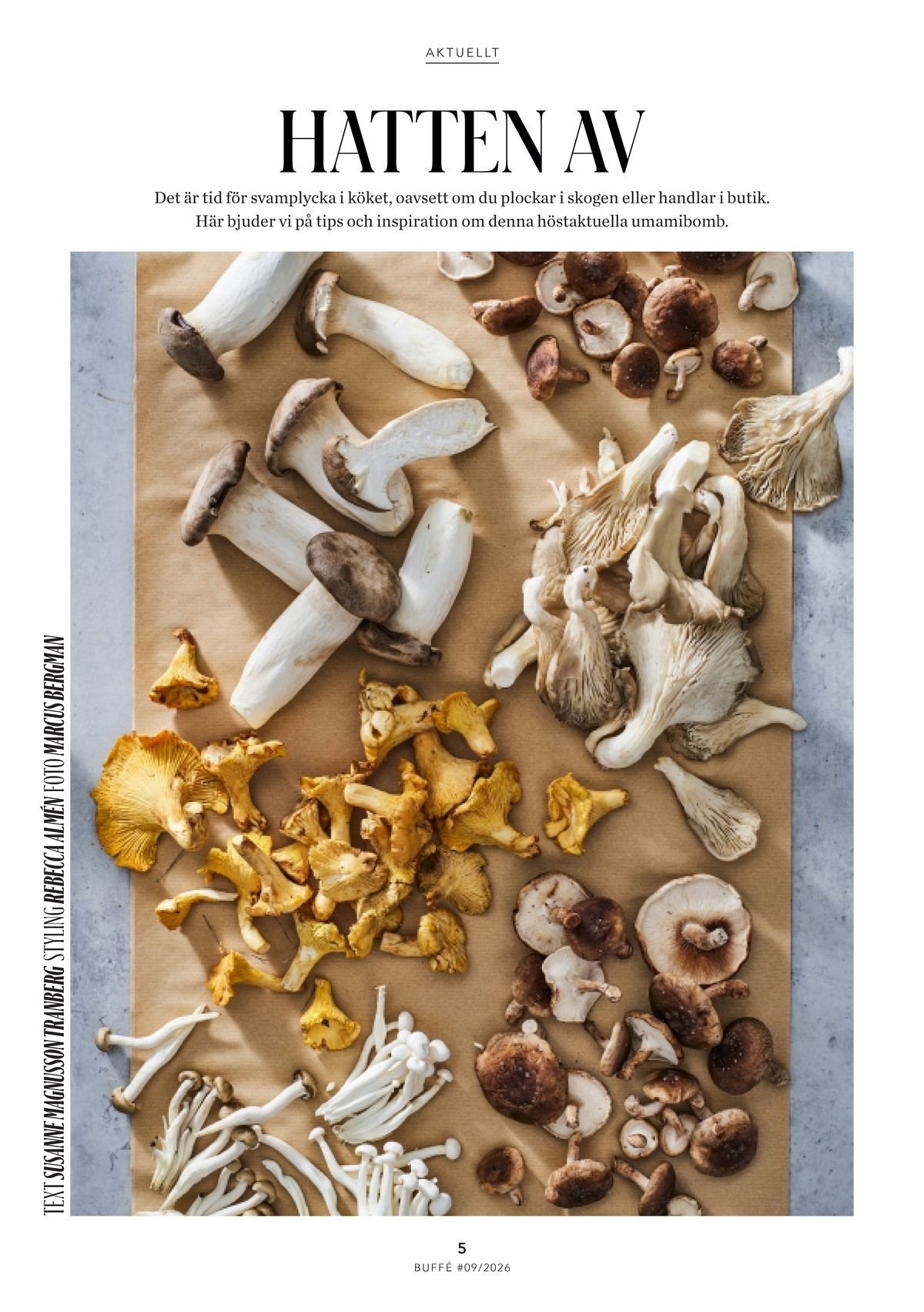 Se ICA Buffé reklamblad för vecka 41 på Kampanjveckan.se. Se bra erbjudanden på många varor. Läs reklambladet här! Sida 5
