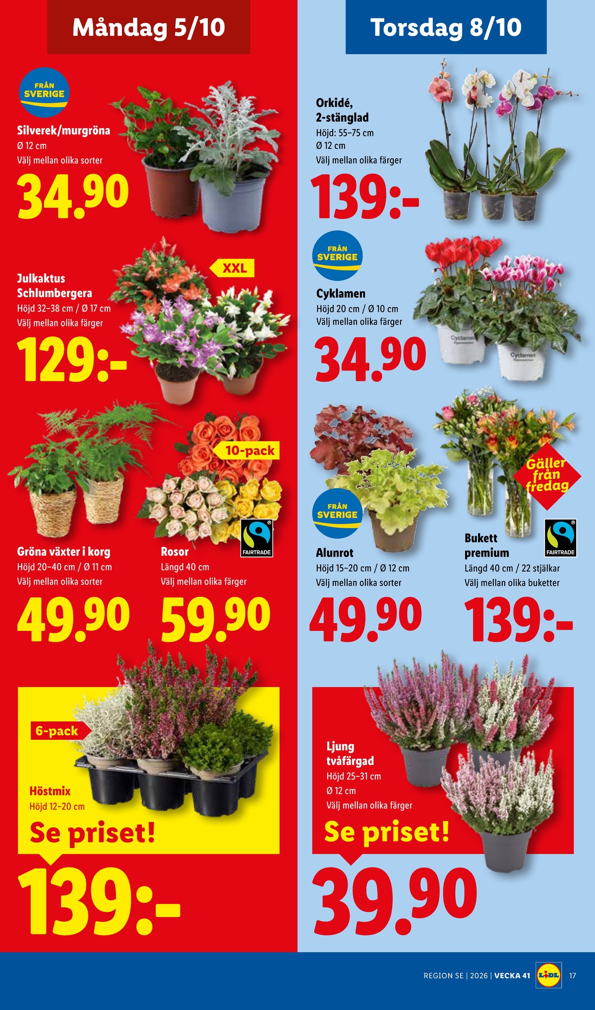 Se Lidl reklamblad för vecka 41 på Kampanjveckan.se. Se bra erbjudanden på många varor, t.ex. blommor okänd eller plantor okänd. Läs reklambladet här! Sida 22
