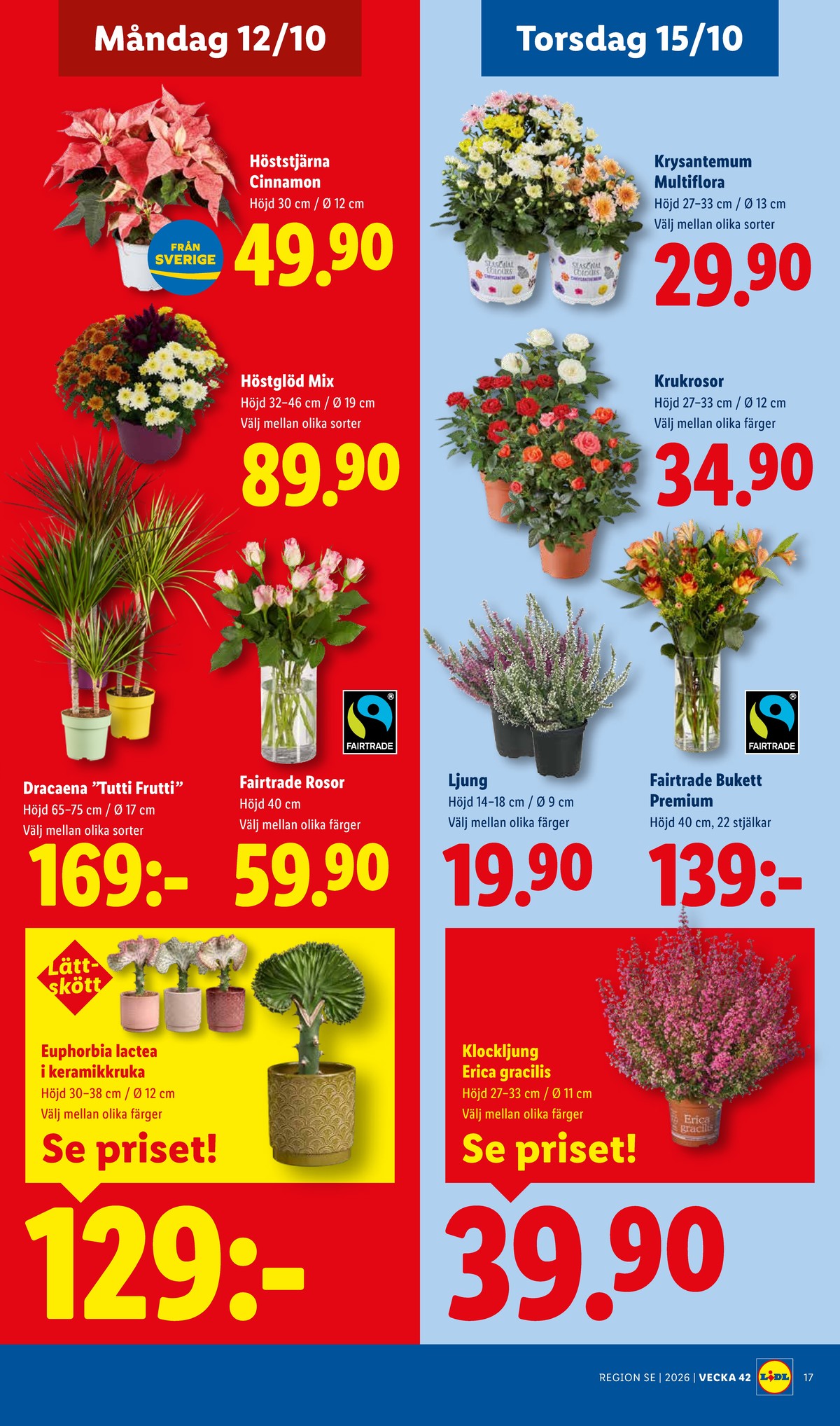 Se Lidl reklamblad för vecka 42 på Kampanjveckan.se. Se bra erbjudanden på många varor, t.ex. krukväxt okänd eller blommor okänd. Läs reklambladet här! Sida 22
