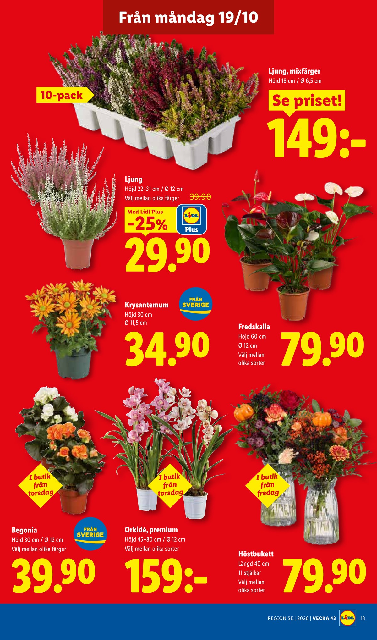 Se Lidl reklamblad för vecka 43 på Kampanjveckan.se. Se bra erbjudanden på många varor, t.ex. plantor okänd eller plantor okänd. Läs reklambladet här! Sida 16
