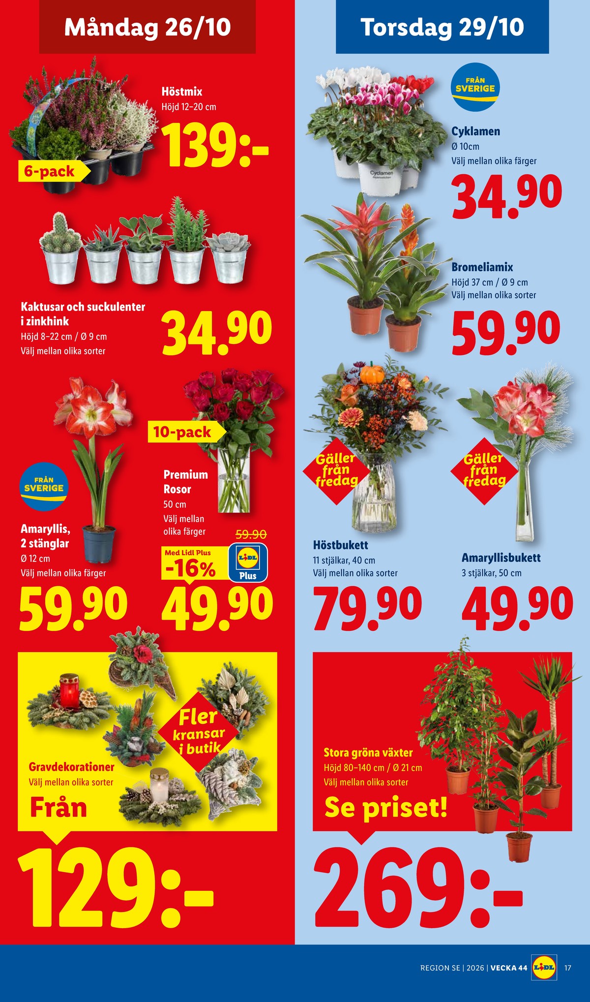 Se Lidl reklamblad för vecka 44 på Kampanjveckan.se. Se bra erbjudanden på många varor, t.ex. gravdekoration okänd eller blommor okänd. Läs reklambladet här! Sida 21

