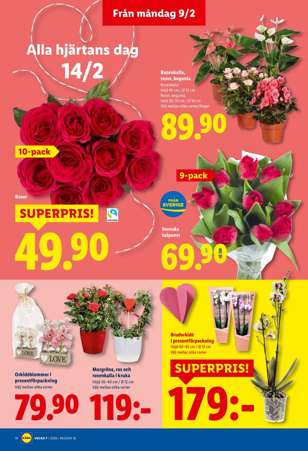 Se Lidl reklamblad för vecka 7 på Kampanjveckan.se. Se bra erbjudanden på många varor, t.ex. konstväxt okänd eller blommor okänd. Läs reklambladet här! Sida 21

