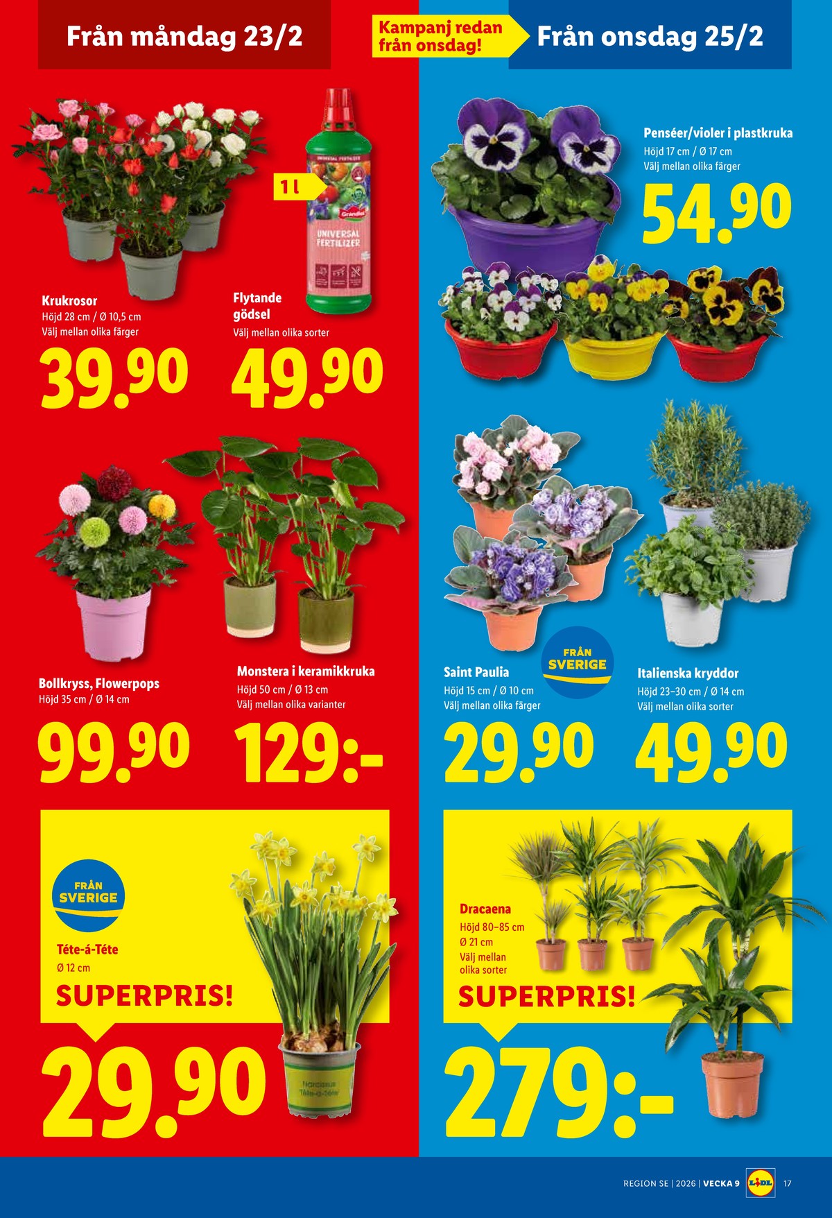 Se Lidl reklamblad för vecka 9 på Kampanjveckan.se. Se bra erbjudanden på många varor, t.ex. krukväxt okänd eller andra varor. Läs reklambladet här! Sida 20