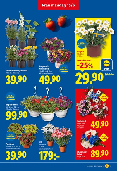 Lidl reklamblad i vecka 25 sida 15