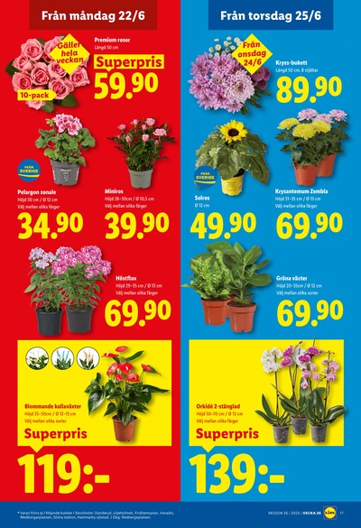 Lidl reklamblad i vecka 26 sida 19