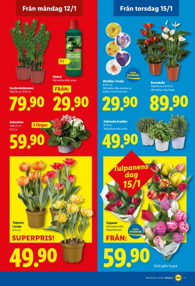 Lidl reklamblad i vecka 3 sida 19