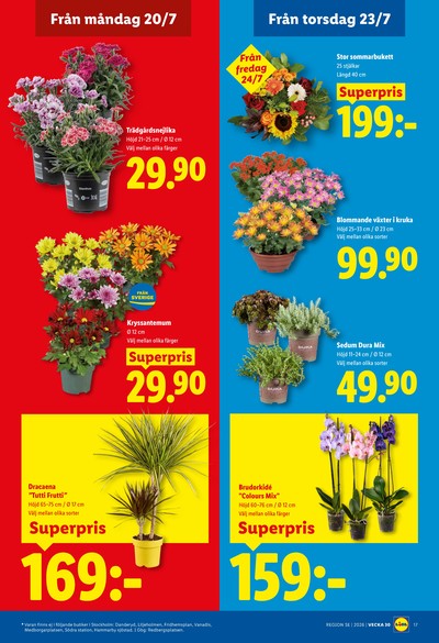 Lidl reklamblad i vecka 30 sida 22