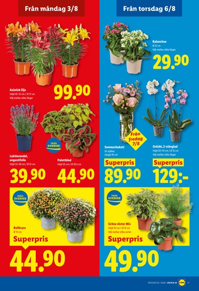 Lidl reklamblad i vecka 32 sida 19
