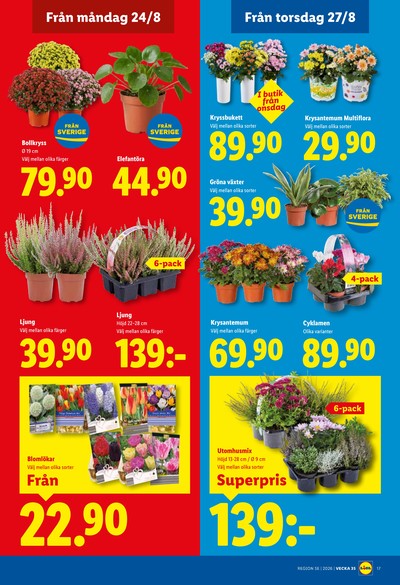 Lidl reklamblad i vecka 35 sida 19