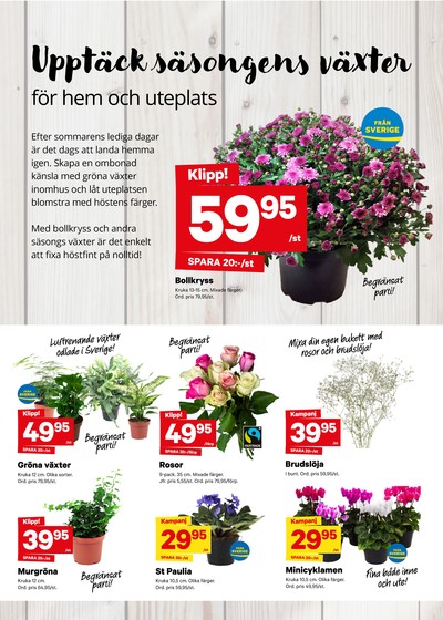 City Gross reklamblad i vecka 35 sida 9