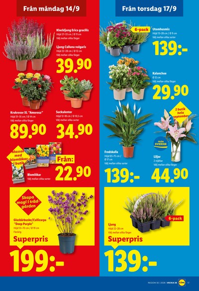 Lidl reklamblad i vecka 38 sida 20
