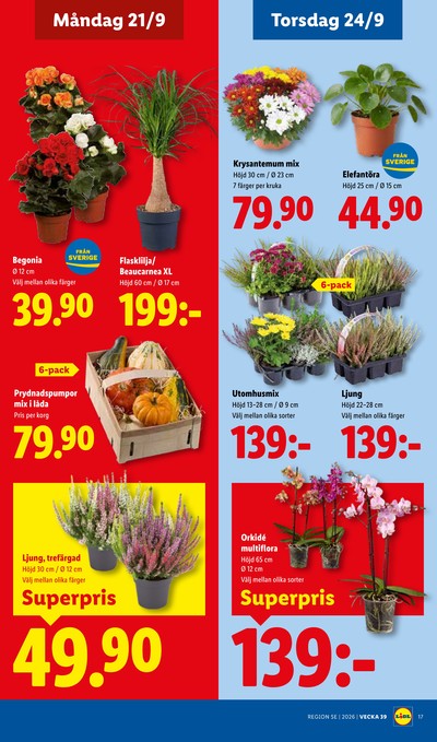 Lidl reklamblad i vecka 39 sida 20