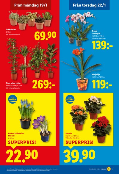 Lidl reklamblad i vecka 4 sida 20