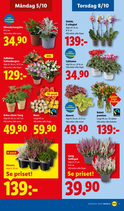 Lidl reklamblad i vecka 41 sida 22