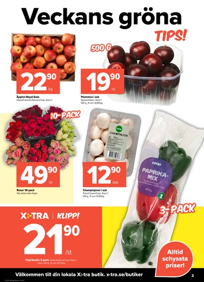 X:-tra reklamblad i vecka 41 sida 3
